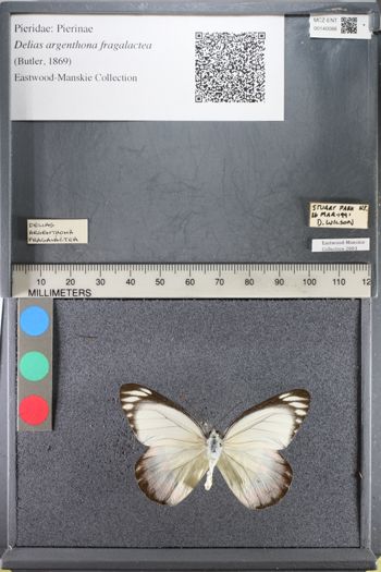 Media type: image;   Entomology 140088